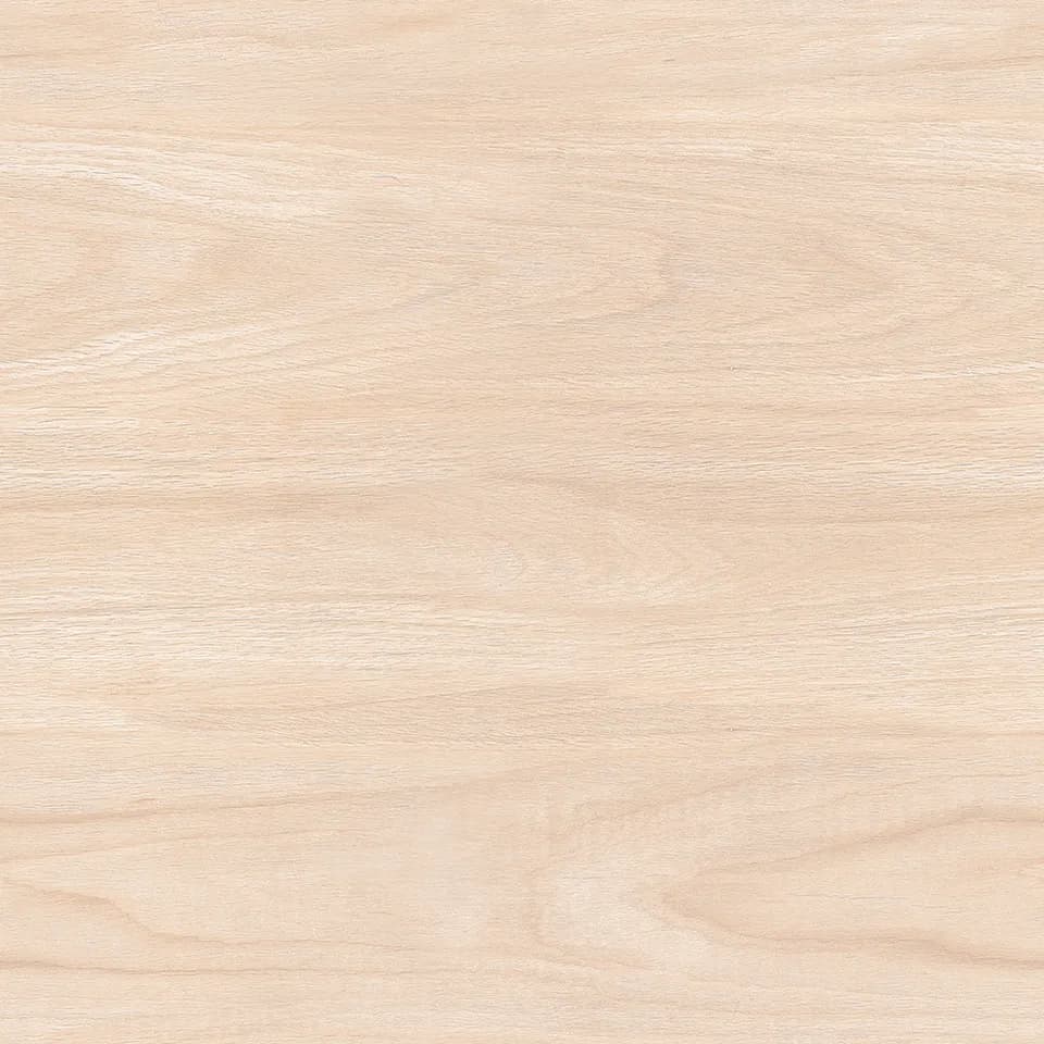 TAG Ceramic 34001 porcelain tile